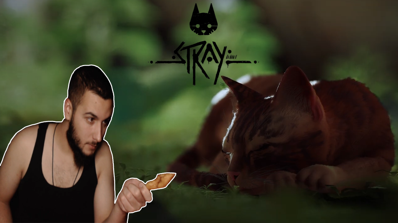 Το ολοκαίνουργιο παιχνίδι "Stray" επιτέλους κυκλοφόρησε. Μπορείτε να βρείτε το "ΓΙΝΟΜΑΙ ΓΑΤΑ | STRAY" εδώ.